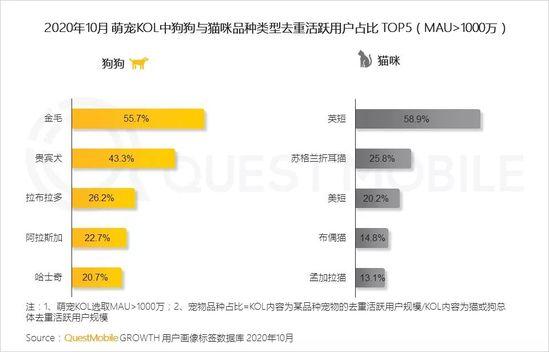 QuestMobile2020萌宠经济洞察报告：萌宠群体超5.3亿