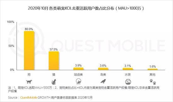 QuestMobile2020萌宠经济洞察报告：萌宠群体超5.3亿