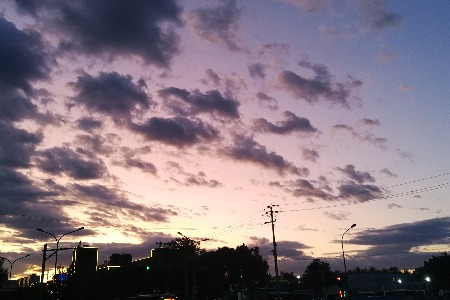 市场监管总局回应“平台二选一”问题