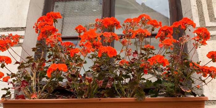 Facebook 脸谱 相关新闻 Facebook股票新闻 企业库 亿邦动力网