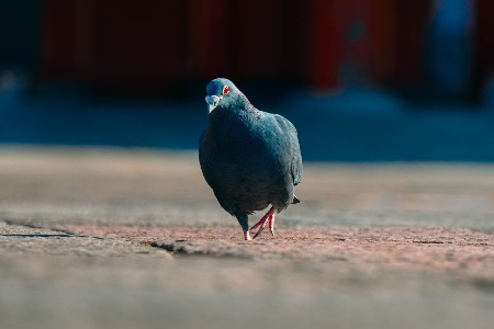 消息称Soul计划赴美上市 官方回应称无确定上市计划