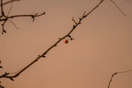 32万！化妆品店注意 卖这种产品会被重罚