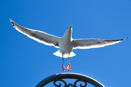 百度用AI支起搜索的下一个十年