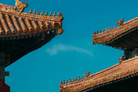 一年入账近2000亿 金龙鱼凭什么？