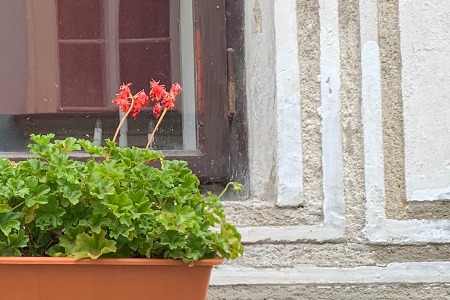 你手中的酸奶 一年斩获12亿