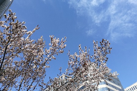 怪兽充电招股书更新 将于4月1日在纳斯达克上市