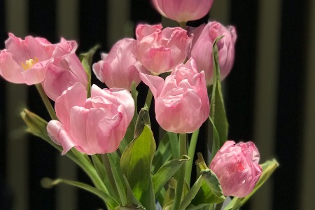 163亿！GMV第一美妆代运营商赴港IPO