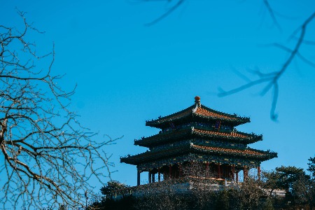 广东制定“粤贸全国”清单：组织“直播节”