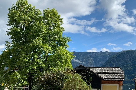 市场监管总局：4月到12月开展反不正当竞争执法专项行动