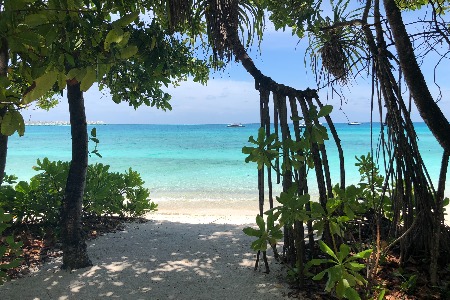 国家统计局：1-4月全国网上零售额超3.7万亿元