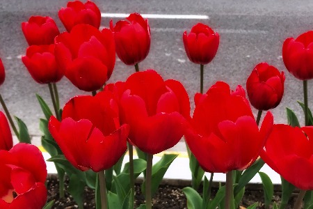 又1个120亿美金独角兽诞生：预示1个最大机会