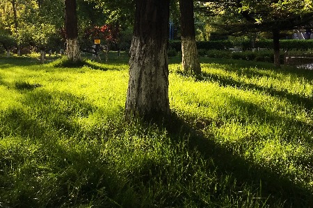 透过Q1财报 看米读成为趣头条核心增长曲线的价值逻辑