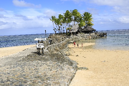 近一年 外资美妆巨头们都在投什么？