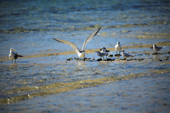 现在的共享充电宝  就像2013年的ATM机