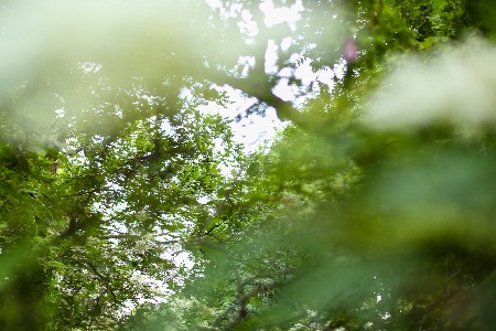 今天张剑和段华这对河南夫妇IPO敲钟：爱玛市值160亿