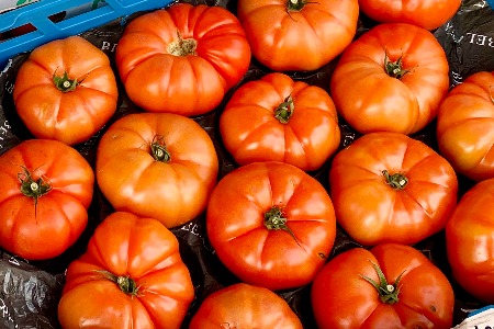 全球时尚品牌集团Benetton：2020年亏损超3.6亿欧元