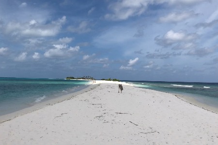 Vince公布2021年一季度财报 销售额涨47.5%