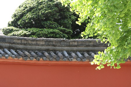 券商眼中的618战事：商家首选淘系运营 看好阿里长期价值