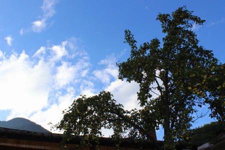 万物新生登陆纽交所 二手交易头号玩家怎样搅动市场？