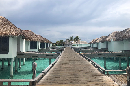 有对夫妻：卖卤味1年净赚5亿