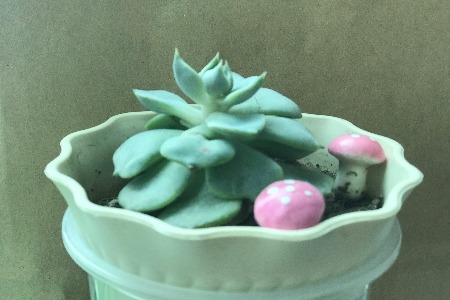 有头有脸的VC都去投兰州拉面了