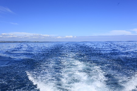 年内涨幅超500% 现代牙科蹭了谁的“热度”？