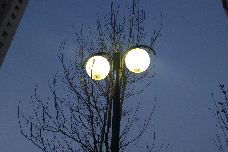 00后靠吃零食养生？