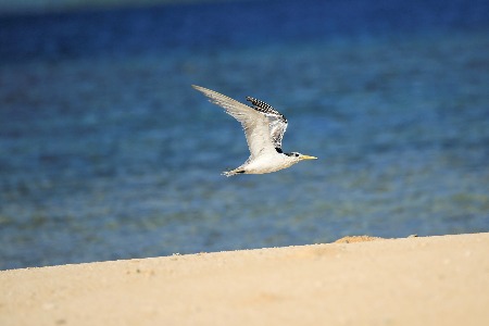 社区团购现拐点