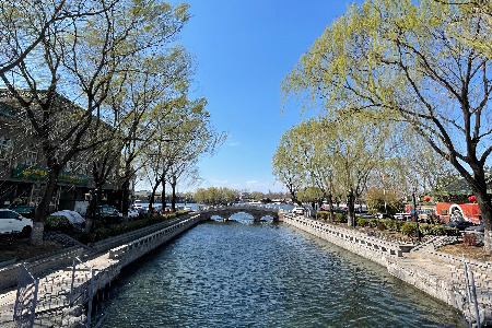 Rever乐若：情绪市场冲出的黑马