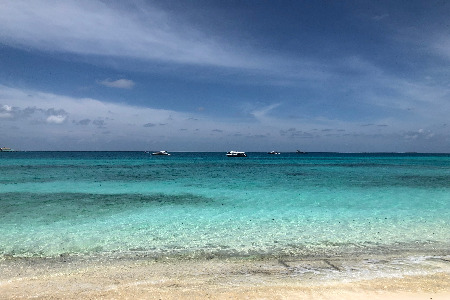 618卖出100万支 芙丽芳丝稳坐“洁面霸主”交椅