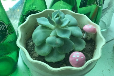 喜茶即将完成新一轮融资 估值600亿