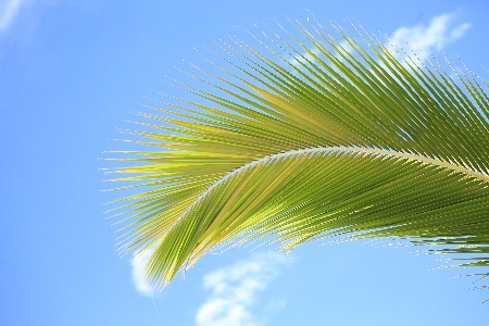 阿里新零售物种进校园 最快3个月回本？