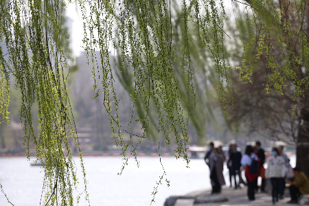 看到播客生意能赚钱后 腾讯又双叒叕坐不住了