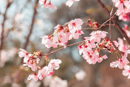 视频号618：十点读书直播76小时 淘系女装“黑马逆袭”