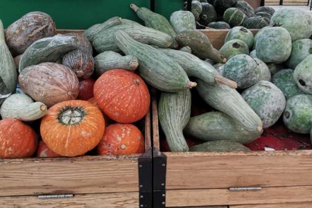 叮咚买菜6月底上市 前置仓迎高光时刻