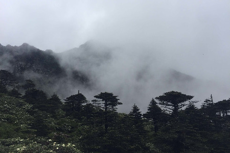 新的上市大潮下上市董事长大PK：前浪不输 后浪不退？