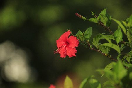 OATLY亚洲总裁张春：品类发展取决于科技 品牌和市场秩序