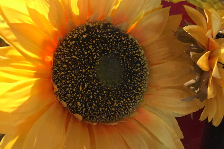 拒绝被割 品牌自强靠“自播”？