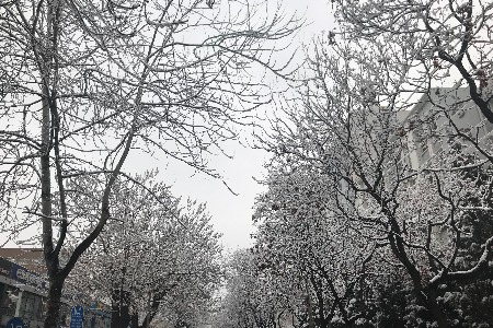 爱玛上市雅迪出海 两轮电动车行业进入“战国时代”