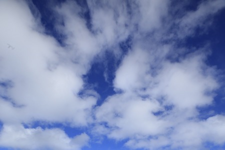 网招黑马的下一个十年拼什么