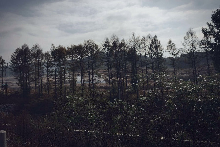 小红帽25人一年卖出5亿人民币