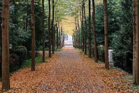 20人的蜜瓜 每月私域营收超2000万