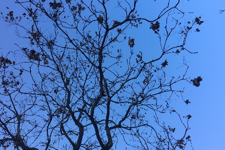 新乳业中报预告：净利润高增长 乳制品市场空间约4146亿