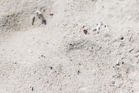 双11成就了飞天 618成就了云舰