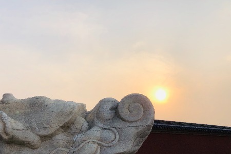 业绩贡献超50%复购提升3倍 付费会员真的能成功吗？