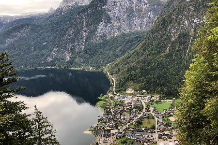 钓鱼佬拯救躺平青年