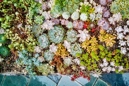 平台新政策扶持受灾商家：中差评特别处理 取消时效考核