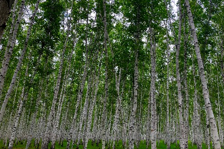 投出1块收回6毛 “最卷赛道”功能性护肤还有机会吗？