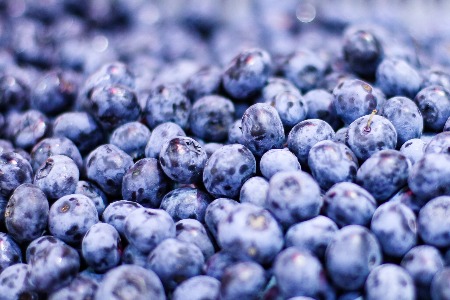 别人倒闭 兴盛优选为何还能融资