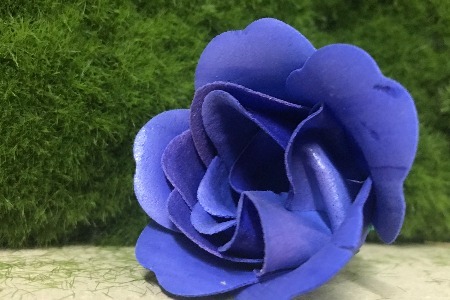 智造中国的品牌进化论：生态总在创新 品牌永远不老